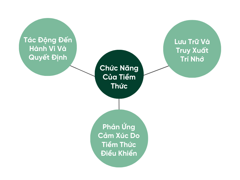 Chức Năng Của Tiềm Thức