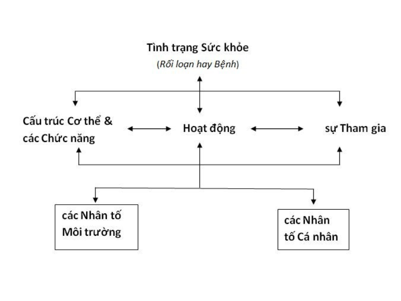 Cấu Trúc Tổ Chức