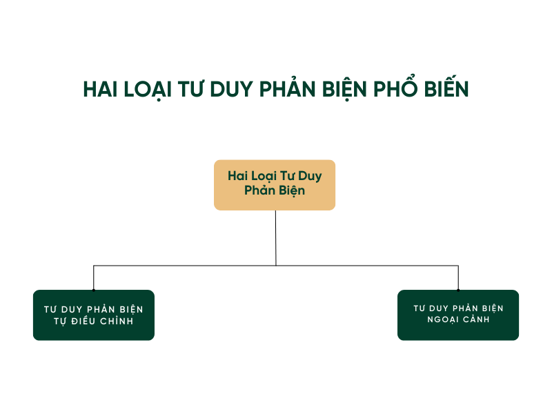 Hai Loại Tư Duy Phản Biện Phổ Biến